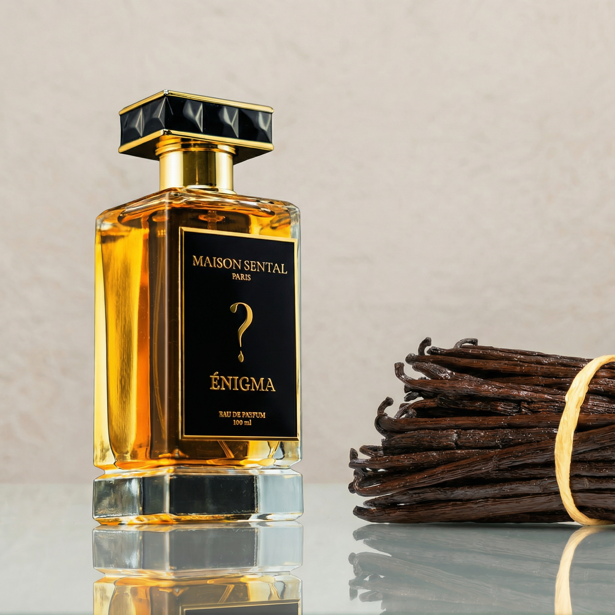 Enigma - Maison Sental
